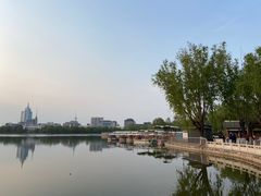 -莲花池公园
