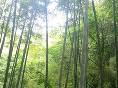 -山沟沟景区