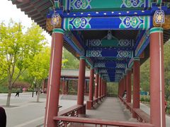 -莲花池公园