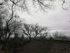 -伍山石窟