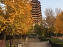 -玲珑塔公园