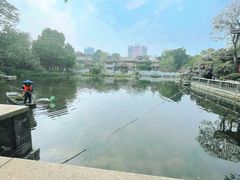 -顺峰山公园