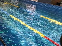 -重庆市奥林匹克体育中心-游泳跳水馆