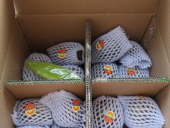 -西北农副产品中心批发市场(广安路店)