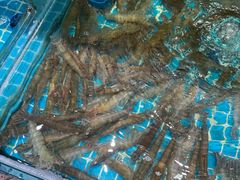 -良师门滨海人家·海鲜·家常菜(滨海城店)