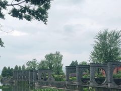 -庾园