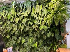 -1861意大利餐厅(文化广场店)