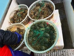 -北京清河镇农副产品交易市场中心