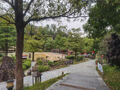 -森波拉火山温泉