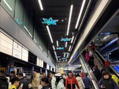 -东北亚滑雪场