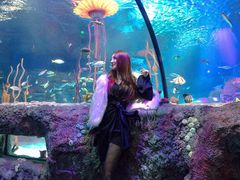 -沈阳海洋探索中心