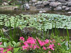 -中铁花水湾四季温泉谷