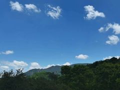 -秦岭风景区