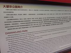 -大望京公园