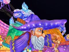 -沈阳奥体冰雪嘉年华
