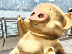 -星光大道