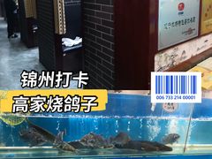 -高家烧鸽子烧烤店63年