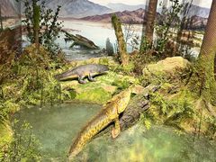 -国家自然博物馆