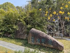 -梅园