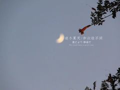 -瓦库茶馆17号(海汇港店)