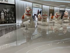 -Dior迪奥(海信广场店)