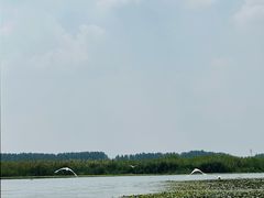 -白洋淀景区