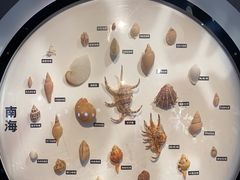 -海合安青岛极地海洋公园