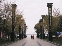 -燕鸣岛