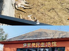 -武汉动物园