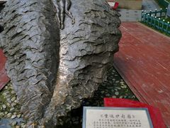 -西安曲江寒窑遗址公园