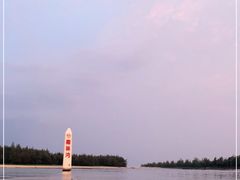 -东郊椰林