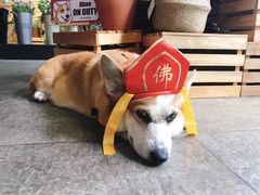 -771餐吧·咖啡·西餐·烤肉(金湖广场店)