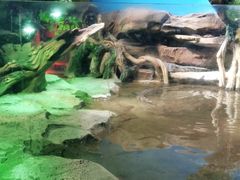 -沙沙哗啦海洋馆(华宇百花谷店)