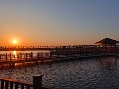 -南大港湿地风景区