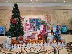 -张家港华芳金陵国际酒店