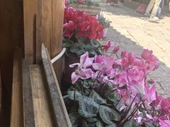 -民食香·腊排骨野生菌美食(木府店)
