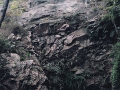 -乌山风景区