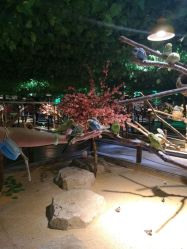 -酷嗒动物文化乐园(cutezoo西溪乐天城店)