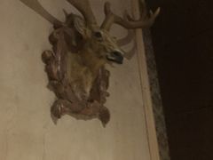 -Dark·大玩家馆沉浸剧情密室(黄埔店)