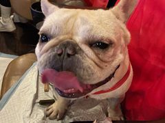 -博纳UA东方宝泰电影城