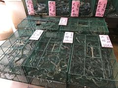 -荔城生鲜盛宴(番禺旗舰店)