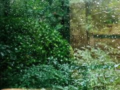 -海德柒号咖啡馆(保利海德公园店)