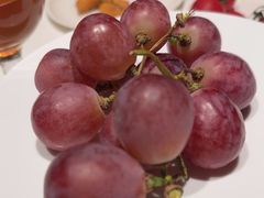 -四季民福烤鸭店(故宫店)