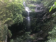 -莫里热带雨林景区