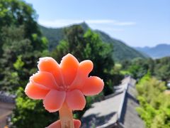 -潭柘寺景区
