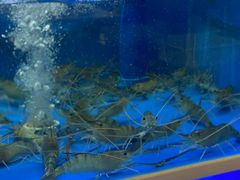 -阿尔法海鲜排档(爱琴海店)