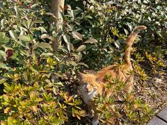 -昆山城市生态森林公园