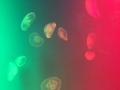 -福州罗源湾海洋世界旅游区