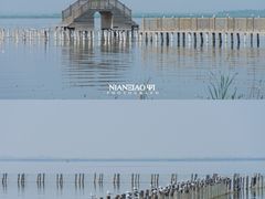 -哈素海