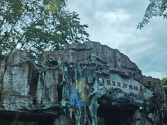 -莫里热带雨林景区